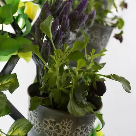 Cosmopolitan One Апартаменты *